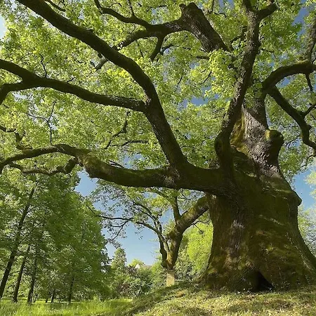 Cozy & Spacious Casa Friulana * Flambruzzo